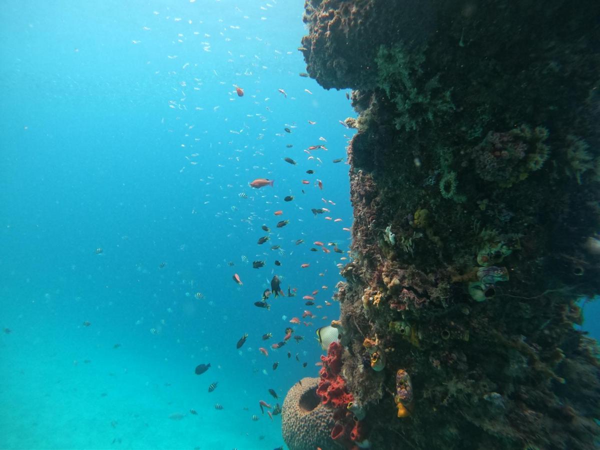 Meos Ambower Homestay Raja Ampat Fam Eksteriør bilde