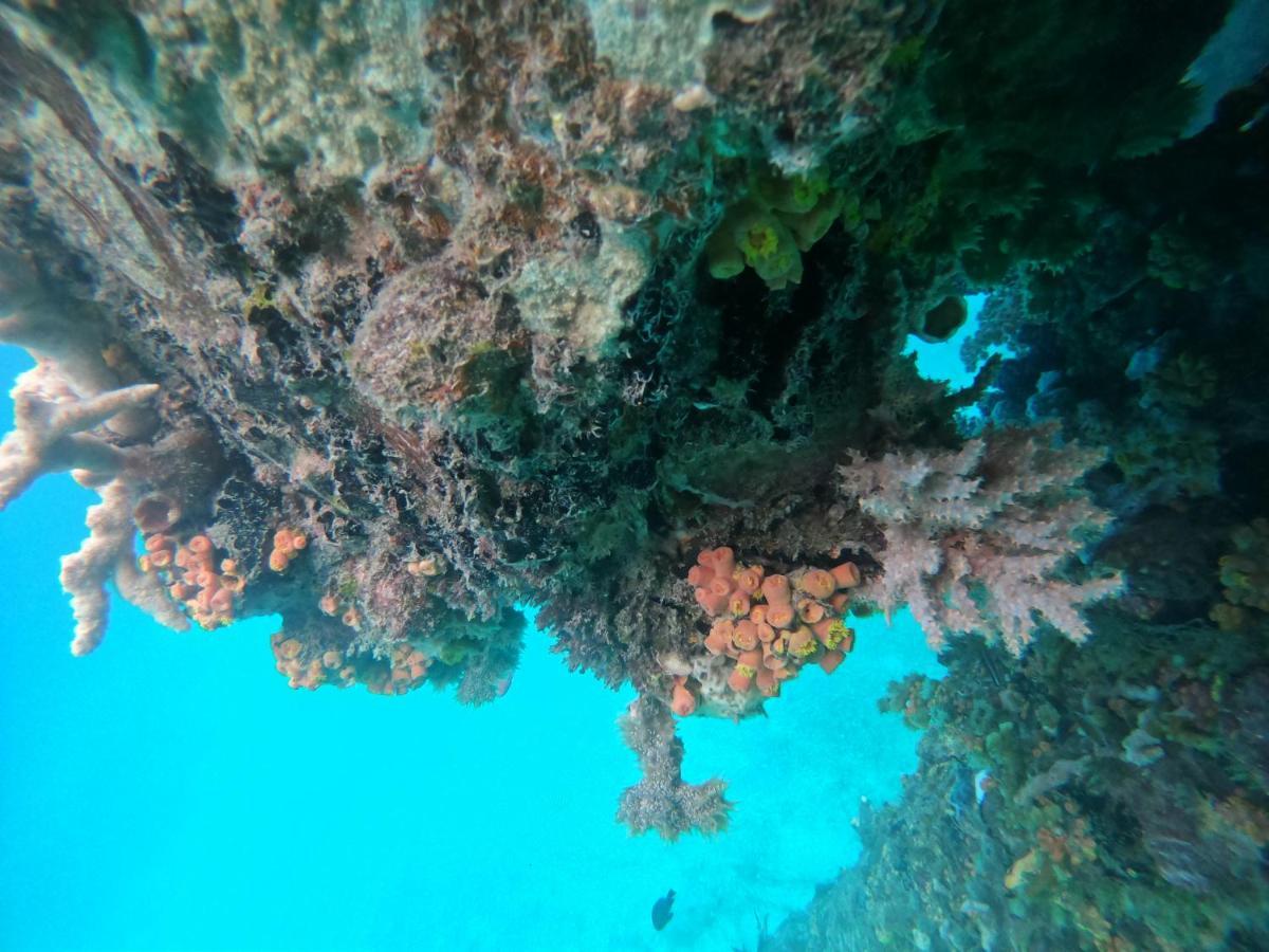 Meos Ambower Homestay Raja Ampat Fam Eksteriør bilde