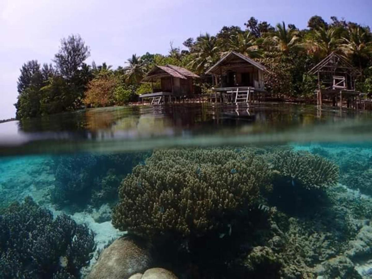 Meos Ambower Homestay Raja Ampat Fam Eksteriør bilde